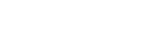 Su Web Profesional