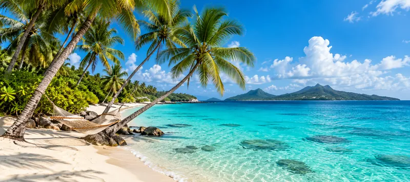 Playa caribeña con palmeras y agua turquesa